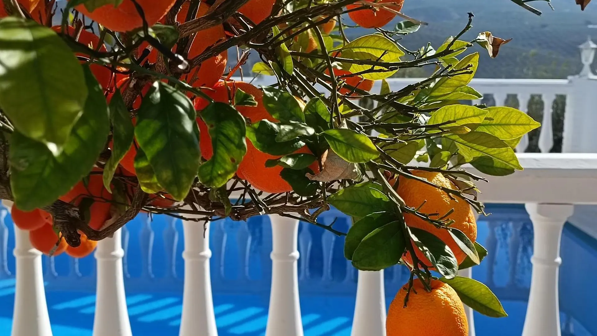 Nyaraló Casa Feliz Villa Iznájar